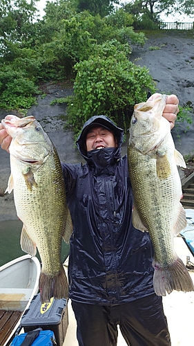 ブラックバスの釣果