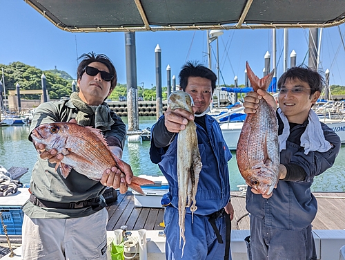 タイの釣果