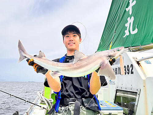 フトツノザメの釣果