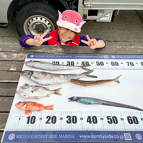 イラコアナゴの釣果