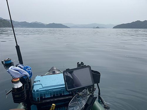 エソの釣果