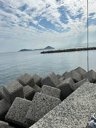 キスの釣果