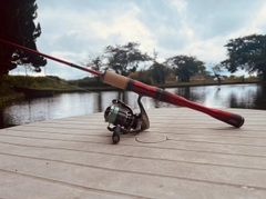 レインボートラウトの釣果