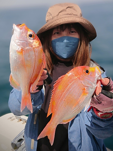 レンコダイの釣果