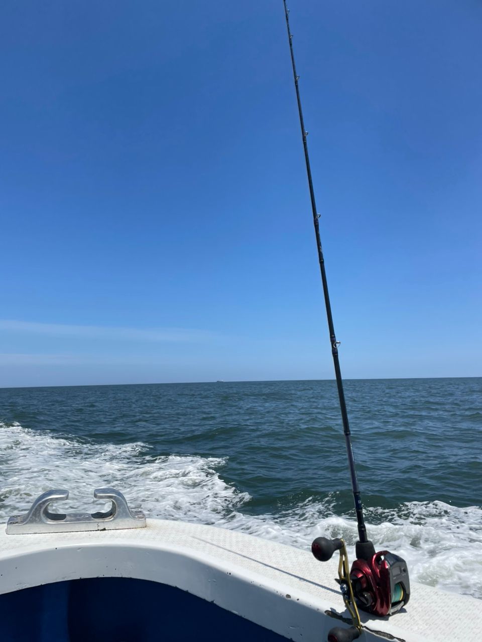 kouhe0110さんの釣果 3枚目の画像