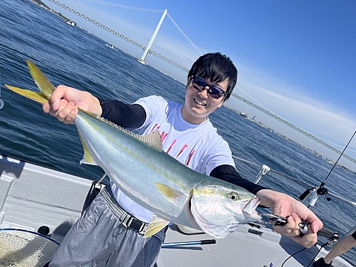 メジロの釣果