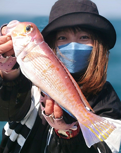 アマダイの釣果