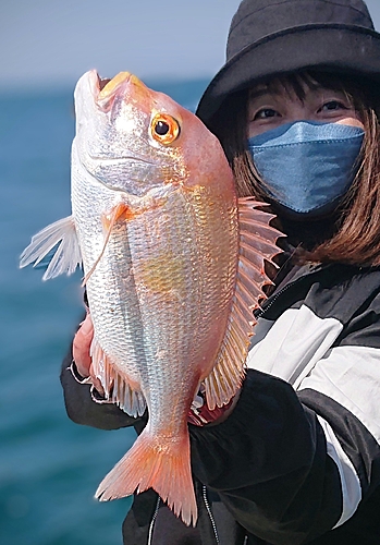 レンコダイの釣果