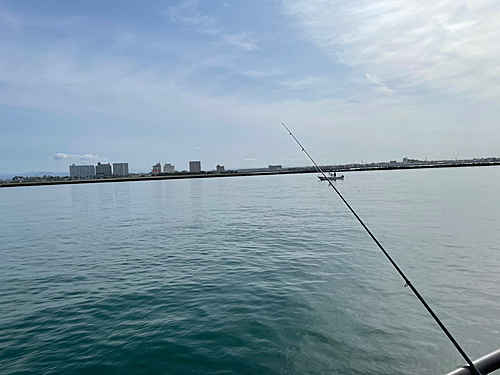 アナハゼの釣果