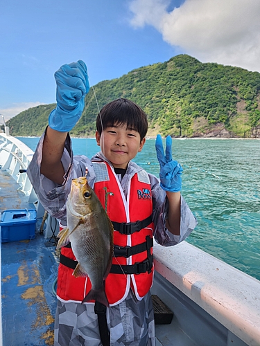 イサキの釣果