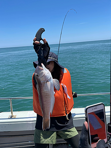 シロアマダイの釣果