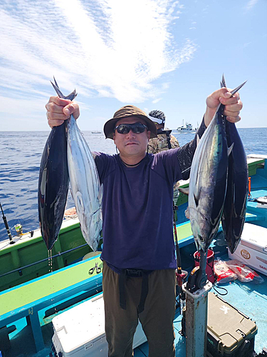 カツオの釣果