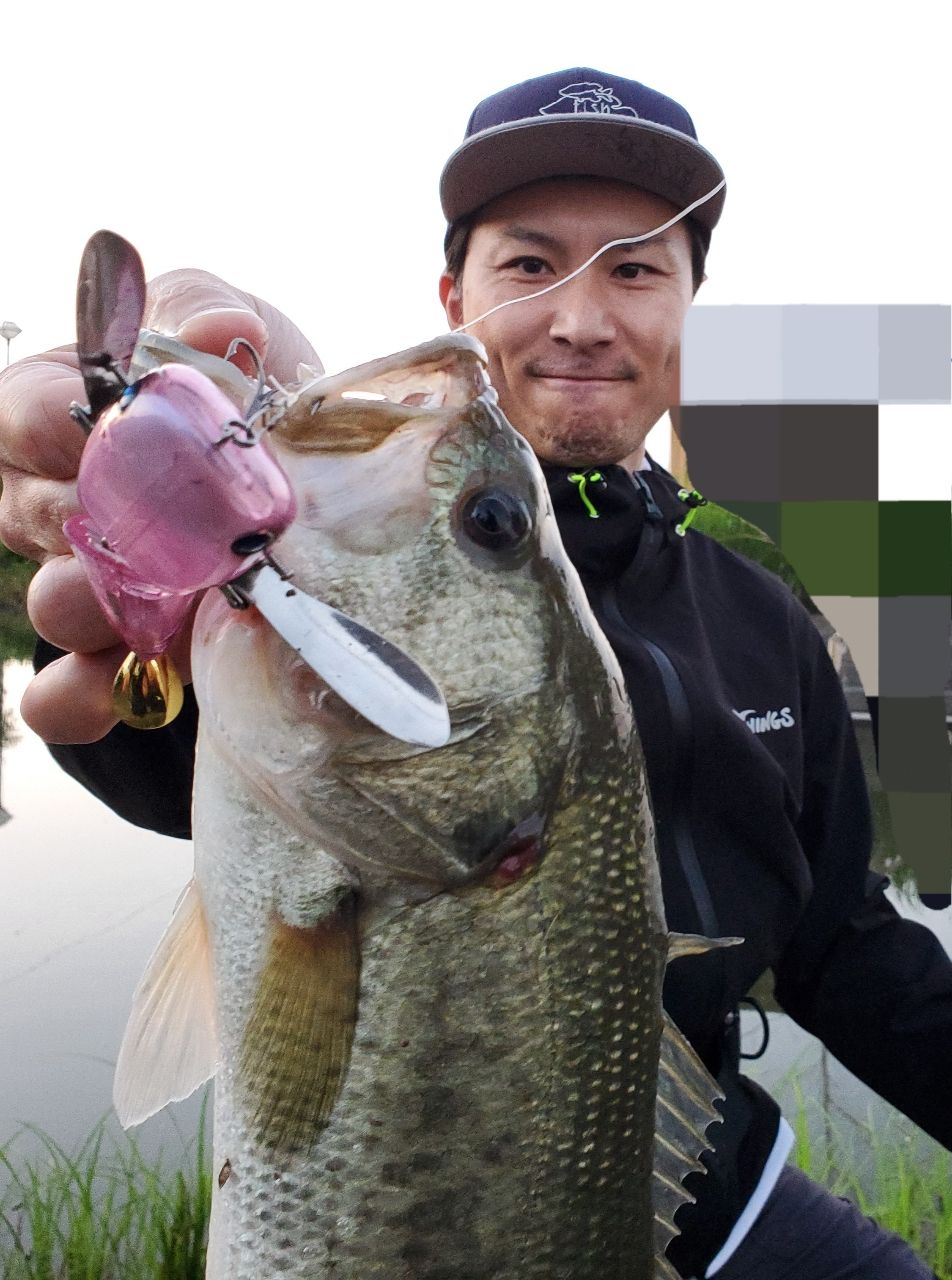 ブラックバス