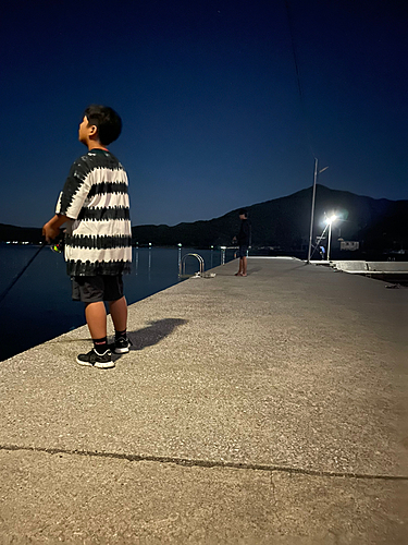 ミズイカの釣果