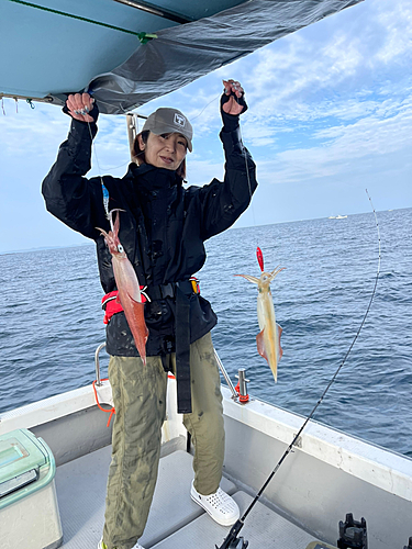 ヤリイカの釣果