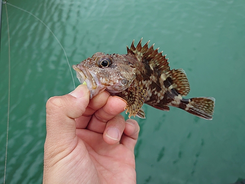 釣果