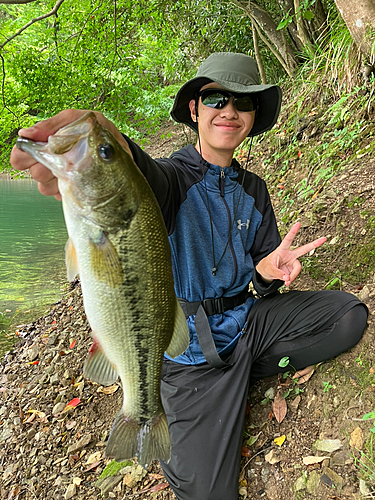 ブラックバスの釣果