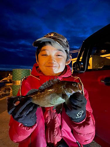 エゾメバルの釣果