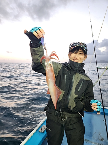 シロイカの釣果