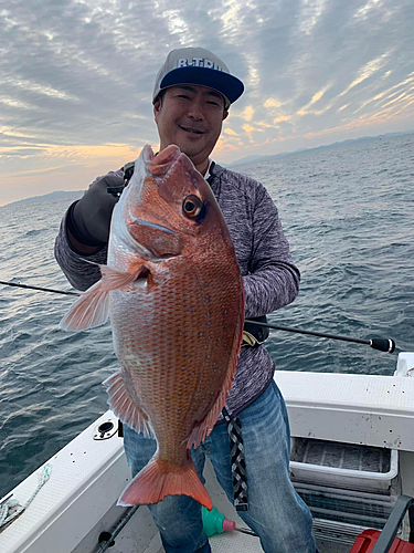 マダイの釣果