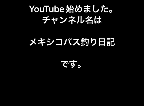 ブラックバスの釣果