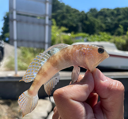 釣果