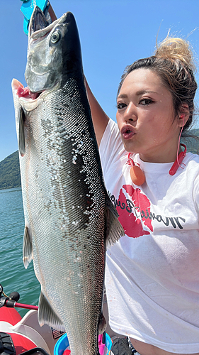 ビワマスの釣果