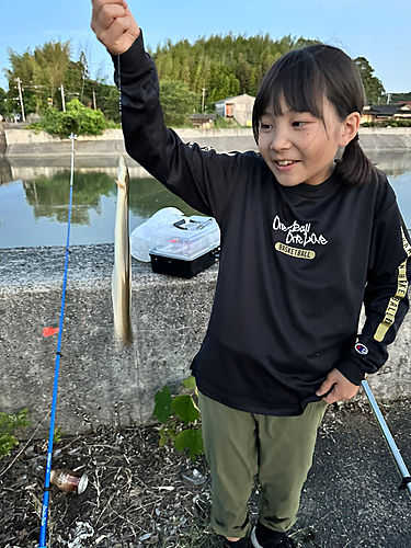 ウナギの釣果