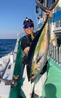 キハダマグロの釣果