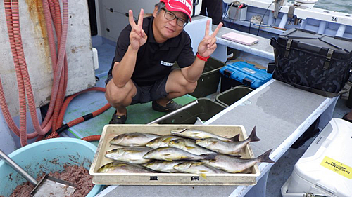 イサキの釣果