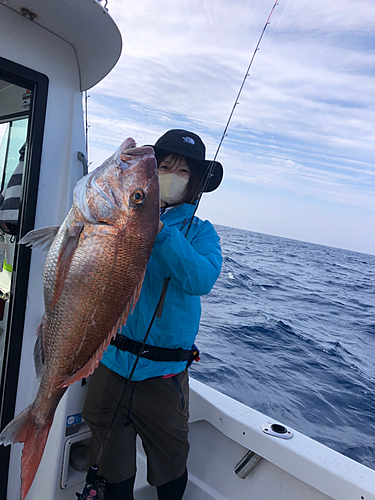 マダイの釣果