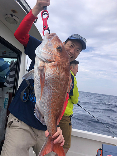 マダイの釣果