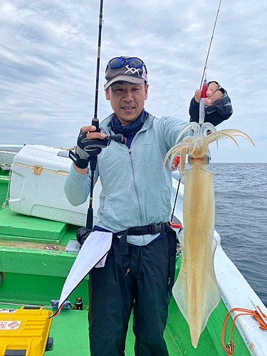 ヤリイカの釣果