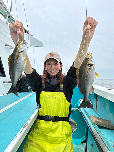 イサキの釣果