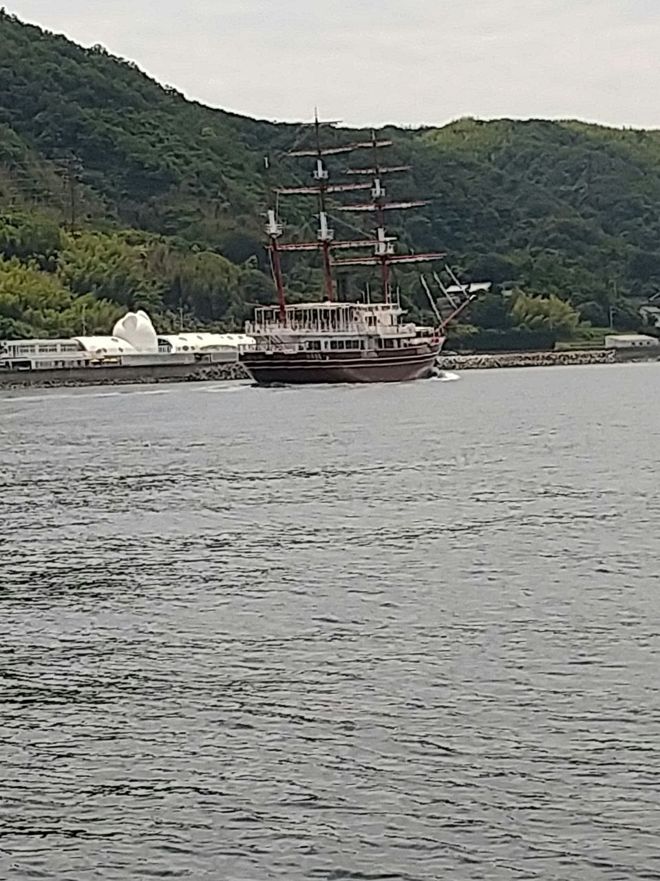 さちこさんの釣果 3枚目の画像