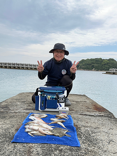 キスの釣果