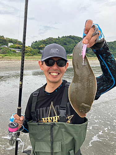 シタビラメの釣果