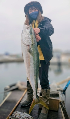 ブリの釣果