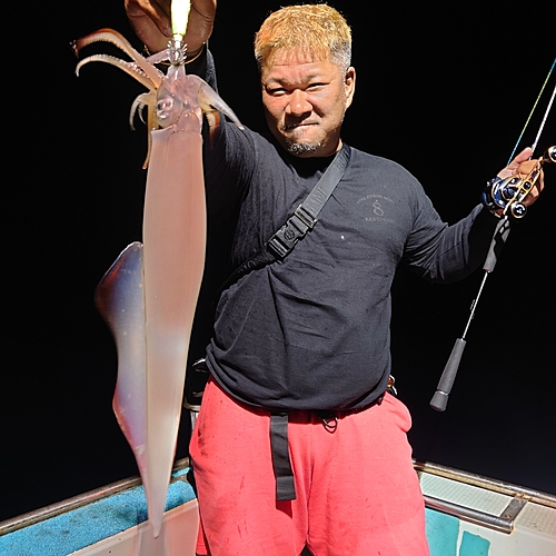 ヤリイカの釣果