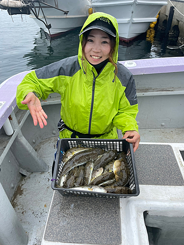 ショウサイフグの釣果