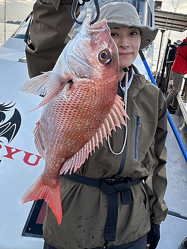 タイの釣果