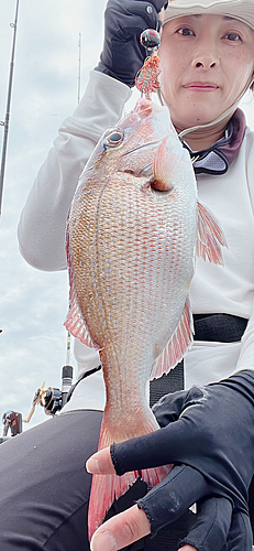 タイの釣果