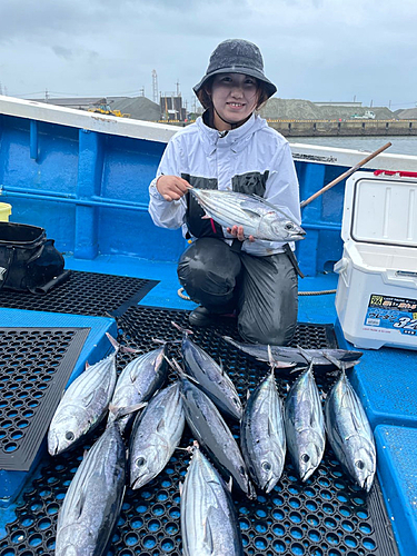 カツオの釣果