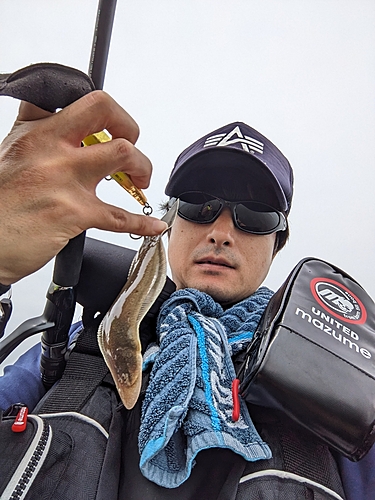 シタビラメの釣果