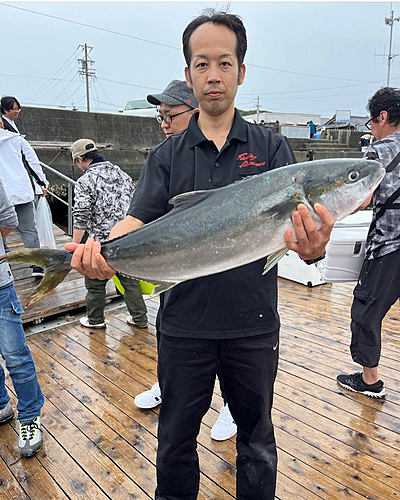 ヒラマサの釣果