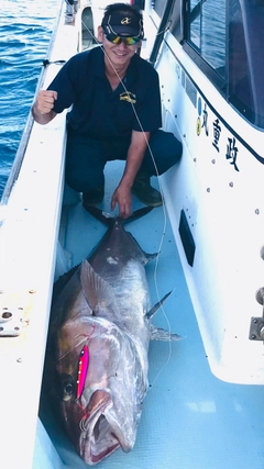 カンパチの釣果