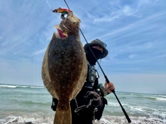 ヒラメの釣果