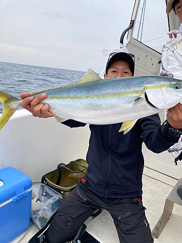 メジロの釣果