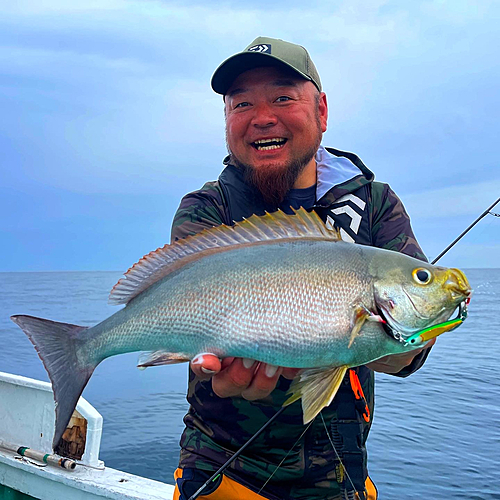 イサキの釣果