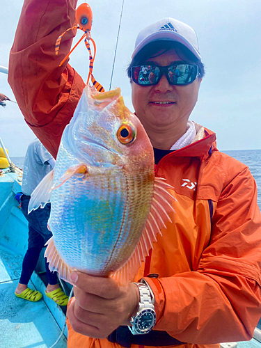 レンコダイの釣果